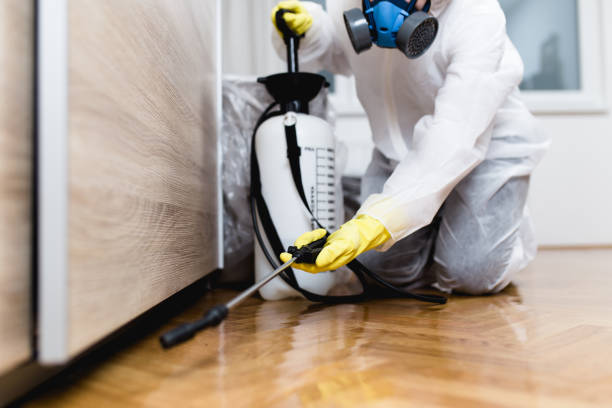Reliable Bull Run Mountain Estates, VA Pest Control Solutions