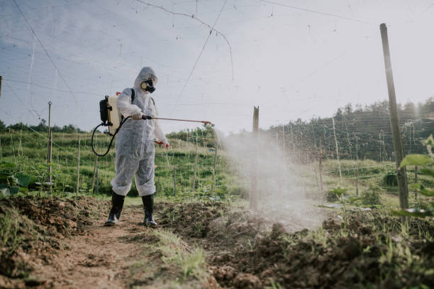 Best Best Pest Control Companies  in Bull Run Mountain Estates, VA