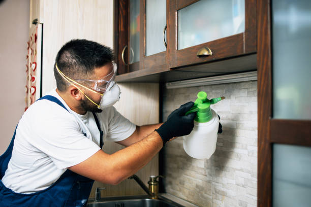 Best Best Pest Control Companies  in Bull Run Mountain Estates, VA