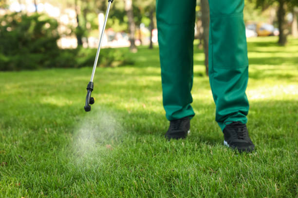 Best Emergency Pest Control  in Bull Run Mountain Estates, VA