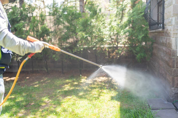 Best Mosquito Control Services  in Bull Run Mountain Estates, VA