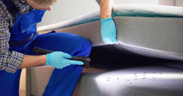 Best Commercial Pest Control Services  in Bull Run Mountain Estates, VA