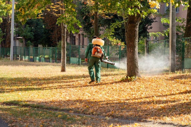 Best Pest Inspection Near Me  in Bull Run Mountain Estates, VA