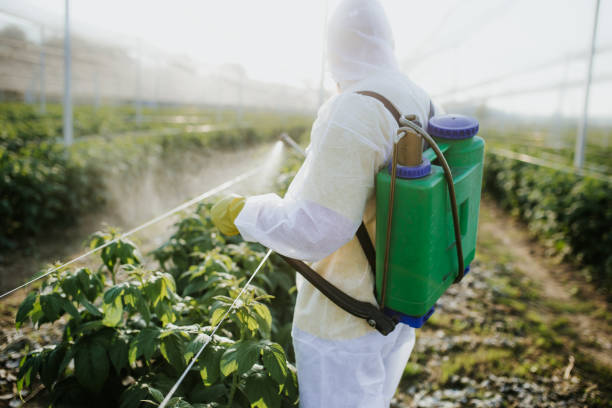 Best Residential Pest Control  in Bull Run Mountain Estates, VA